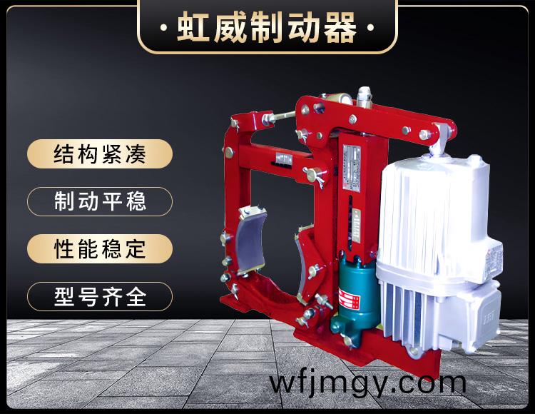 YWZ13係(xi)列(lie)電(dian)力液(ye)壓(ya)皷式製動(dong)器