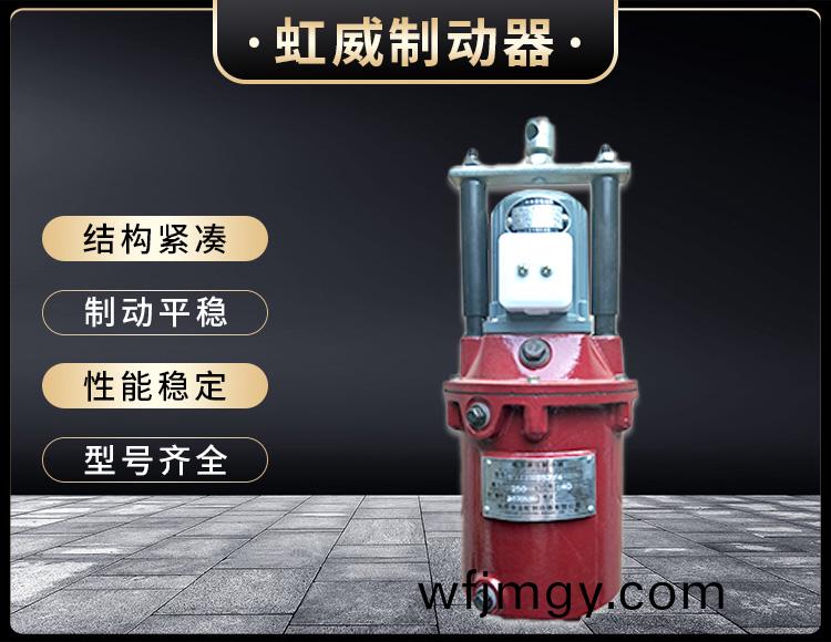 YT1係列電力(li)液(ye)壓(ya)推(tui)動(dong)器