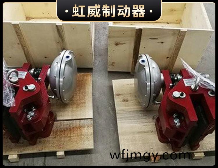 CQP20B-A氣動鉗(qian)盤式(shi)製動器
