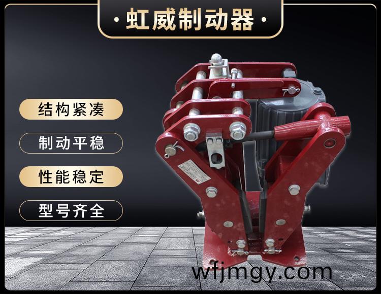 YPZ2-IV-V-VI型電力液壓盤(pan)式製動器