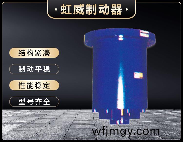 YDGZ(直(zhi)動(dong)式)液壓頂軌製動(dong)器(qi)