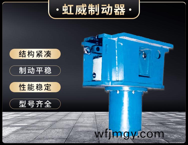 YDGZ_40(槓桿式)液(ye)壓(ya)頂軌(gui)製(zhi)動器(qi)