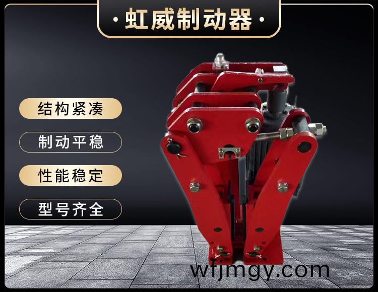 YPZ2-I-II-III型電(dian)力(li)液(ye)壓(ya)盤式(shi)製動器(qi)