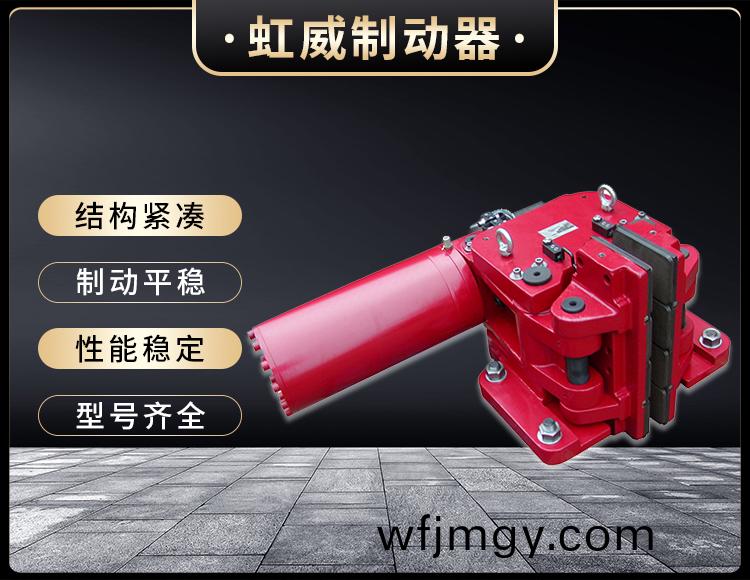 SBD-C係列(lie)液(ye)壓(ya)安(an)全製動(dong)器